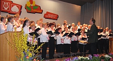 Zur Stammchor Seite